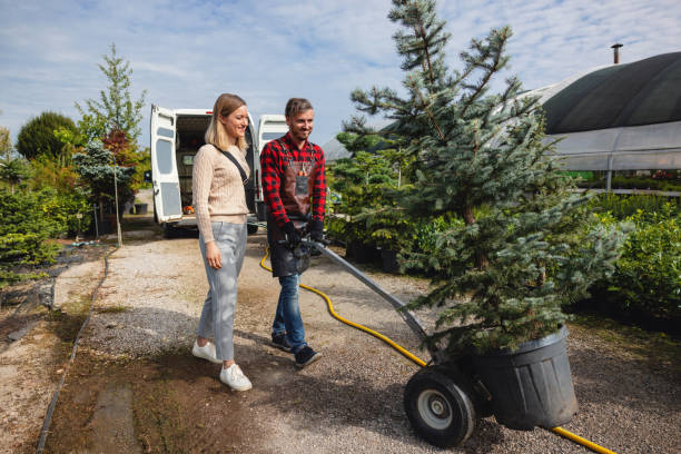 Best Dead Tree Removal  in Richmond, KY